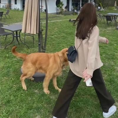 十宫女 海报