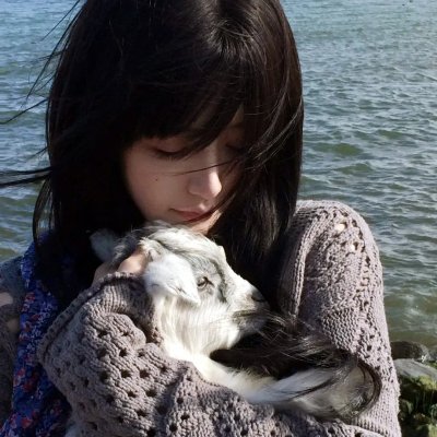 泰山搏命记 海报