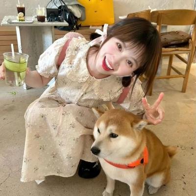 夏威夷公主 海报